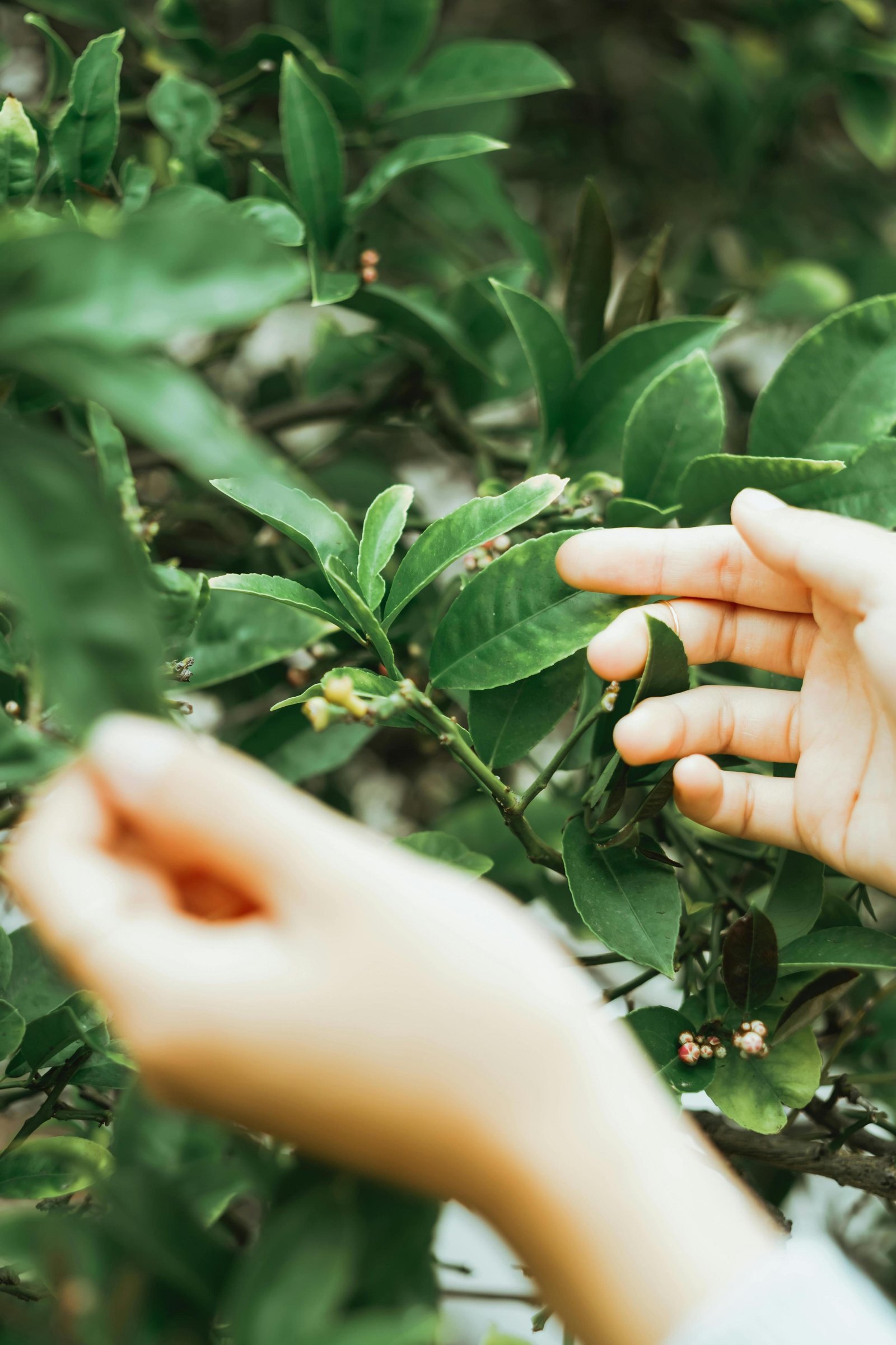 Sobre liberdade, espontaneidade e viver sem pedir licença ao julgamento.